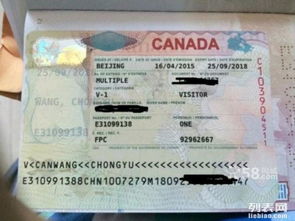 專業代辦美國、加拿大、澳大利亞、新西蘭等國簽證服務