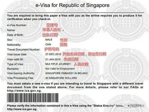 急難愁盼有回響 上海公安推出遠程代辦服務，破解海外同胞身份證換證難題